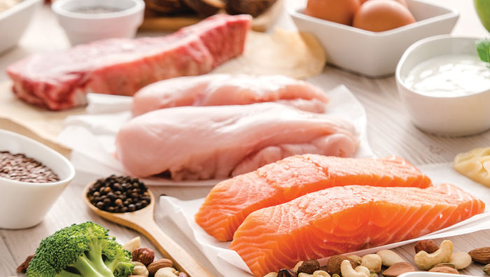 Ask ACE: How to Answer Your Clients’ Most Common Questions About Protein